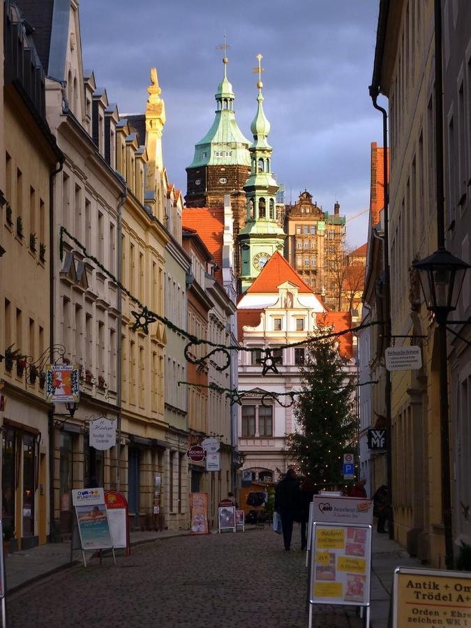 Apartment Saxonia Пирна Екстериор снимка