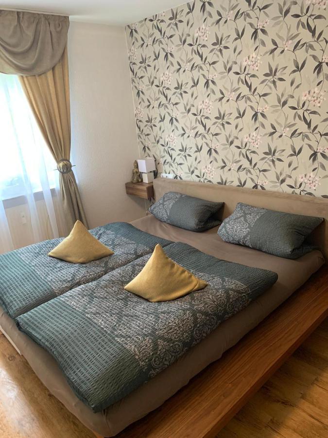 Apartment Saxonia Пирна Екстериор снимка